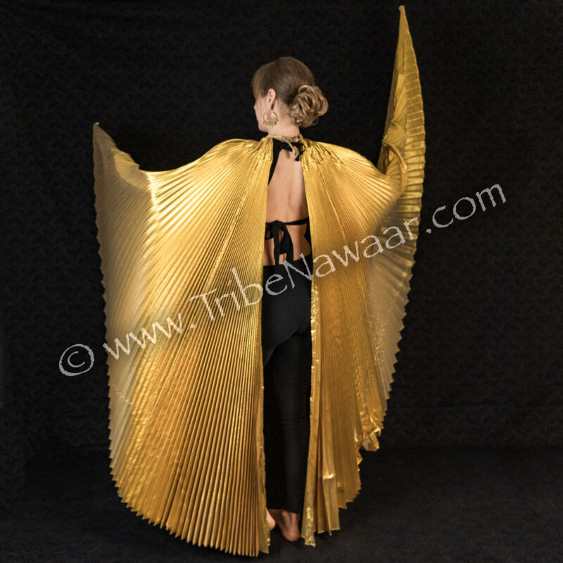 Gold Isis Wings (Consignment gkna1-45)