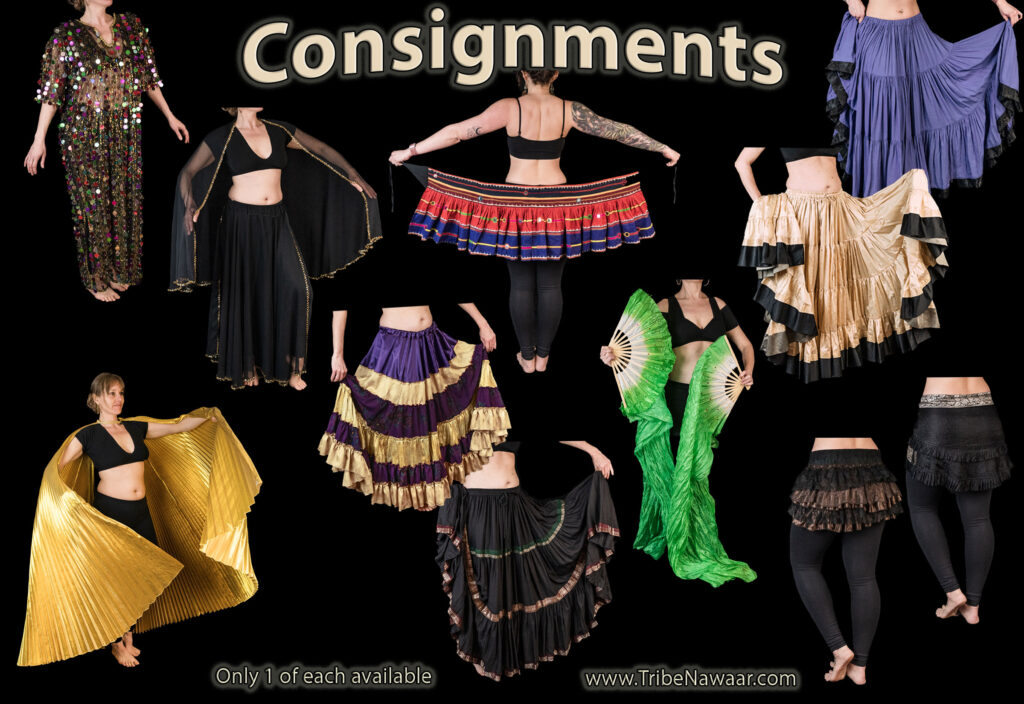 June belly dance costuming consignments available from the Nawaar Marketplace at www.TribeNawaar.com