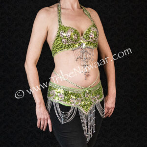 Green & silver belly dance set for belly dance available on consignment from The Nawaar Marketplace at www.TribeNawaar.com (front view)