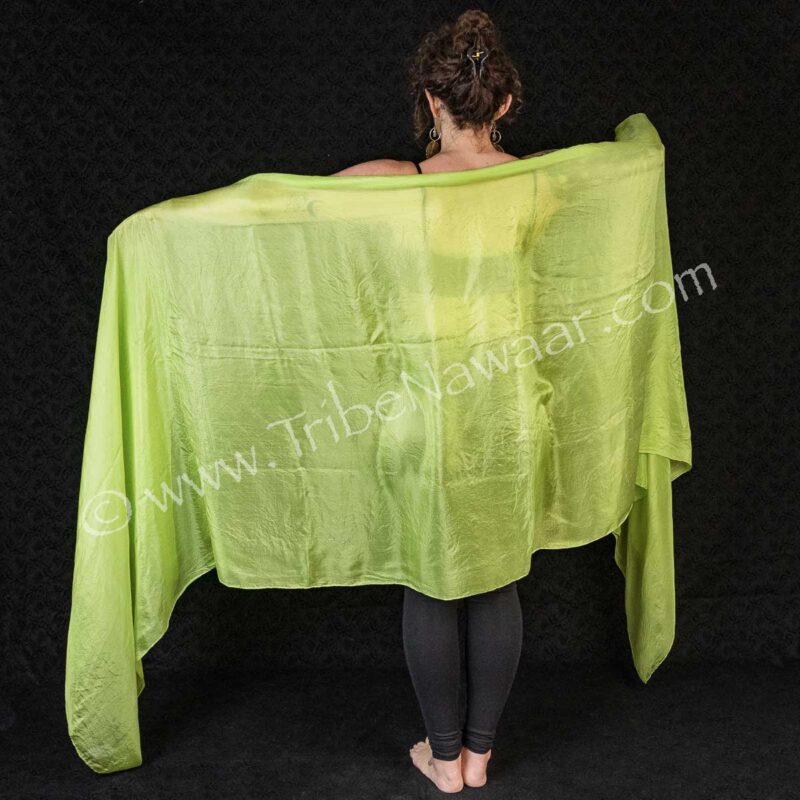 Lime Silk Veil (Consignment cstr8-46)