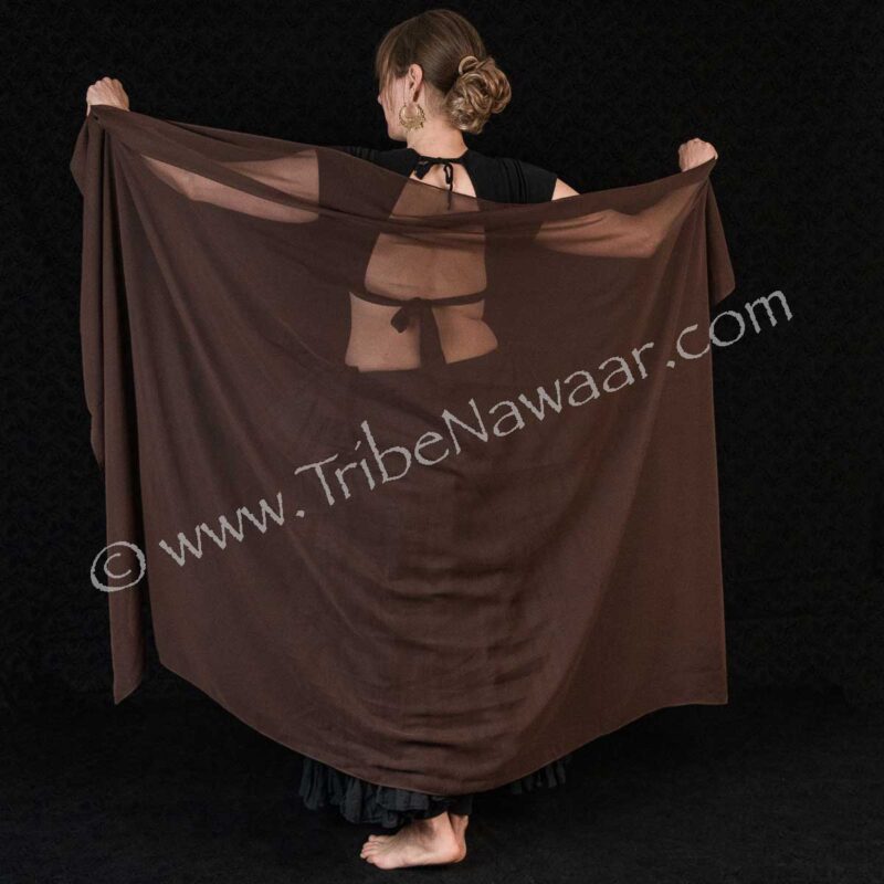 Brown Chiffon Veil (Consignment tn)