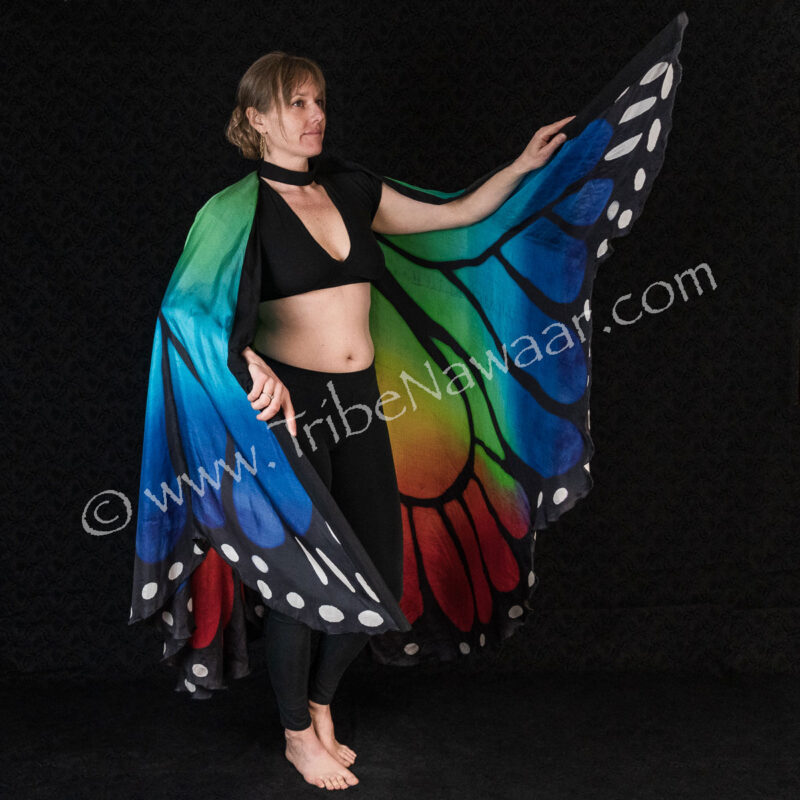 Butterfly Wings-100% Silk