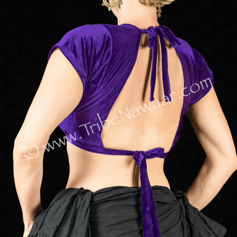 Purple Short Sleeve Velvet Choli